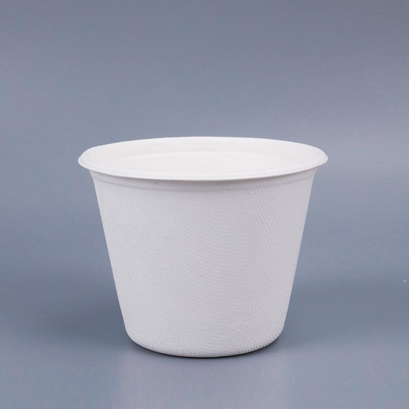 Sugarcane pulp cup